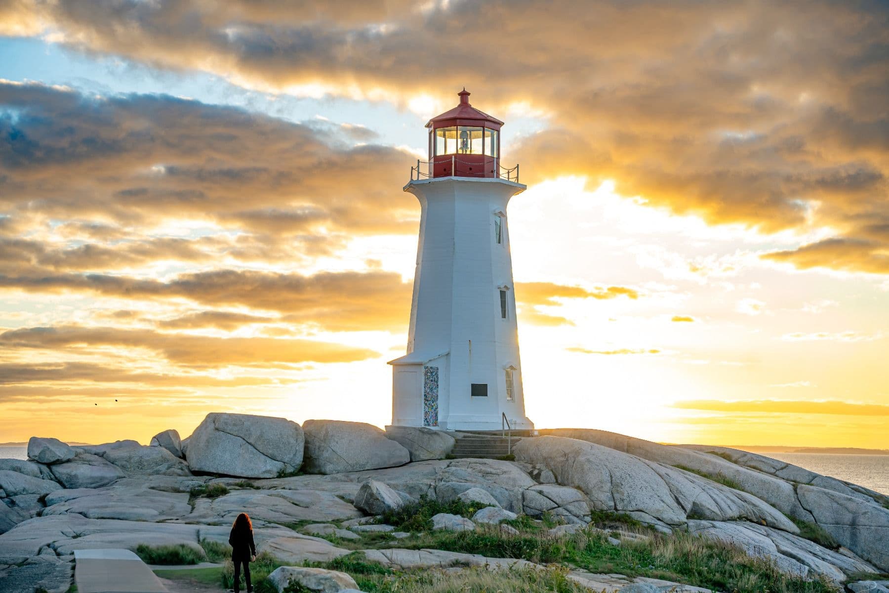 Peggy's Cove Half Day tour